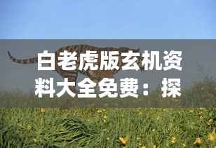 白老虎版玄机资料大全免费:探索独特视角下的免费资源宝藏