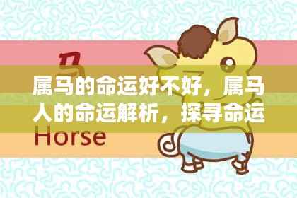 属马人的命运探寻,机遇与挑战并存的生命之旅