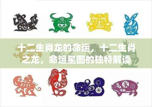 十二生肖之龙的命运星图深度解读
