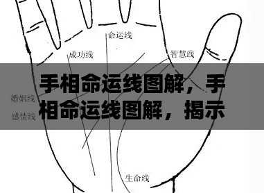 手相命运线图解,揭示未来走向的奥秘