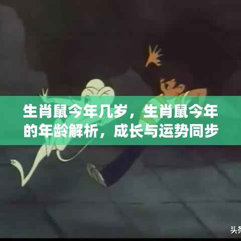 生肖鼠的成长运势解析与年龄解析,成长与运势同步前行,今年生肖鼠多大?
