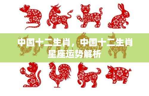 中国十二生肖星座运势深度解析