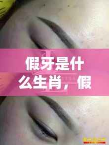 假牙与生肖,一段奇妙的探索之旅