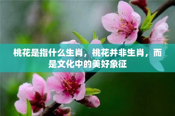 桃花,美好文化象征而非生肖标签