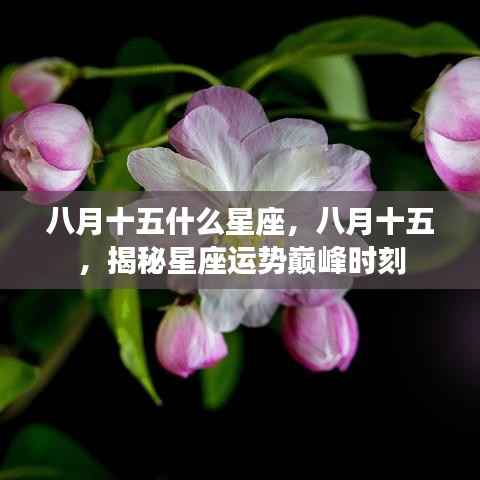 八月十五星座揭秘，运势巅峰时刻探秘