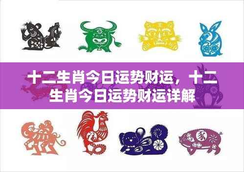 十二生肖今日运势财运详解分析揭秘今日财运走向
