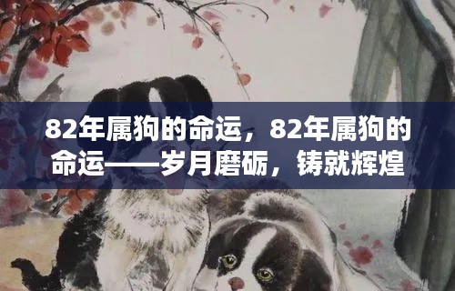 岁月磨砺下的辉煌,82年属狗的命运展望