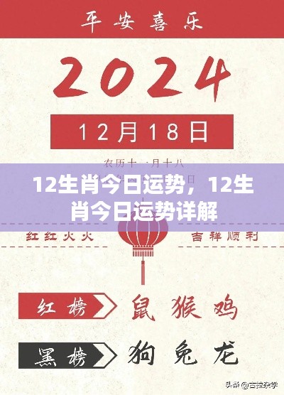 今日十二生肖运势详解