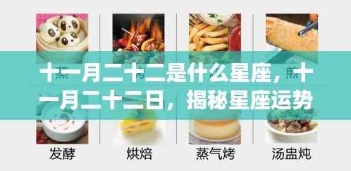 揭秘十一月二十二日的星座运势背后的神秘力量