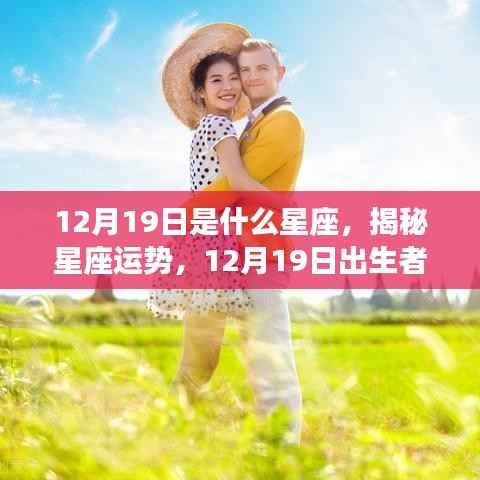 揭秘星座运势,12月19日出生者的星座特征与运势解析