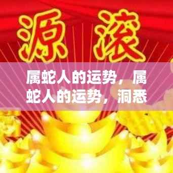 属蛇人的未来运势,洞悉机遇与挑战,把握命运舵手