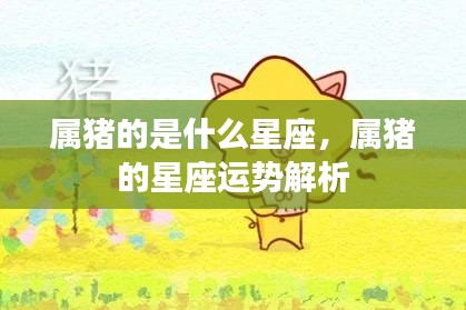 属猪的星座运势解析与星座特点探索