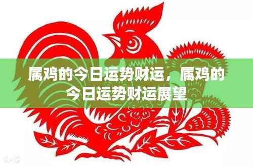 属鸡今日财运展望,财运运势分析