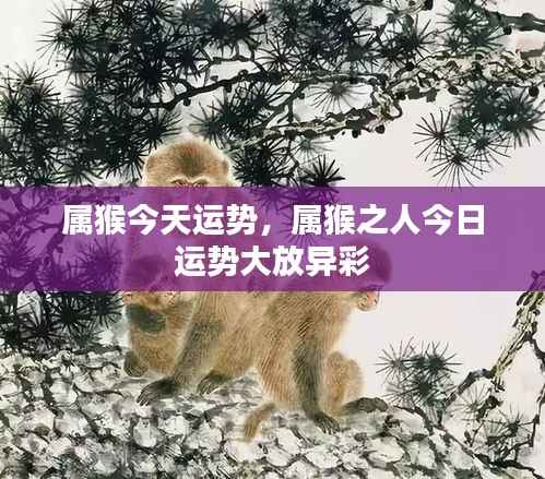 属猴今日运势大放异彩,运势亨通!