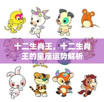 十二生肖王的星座运势深度解析