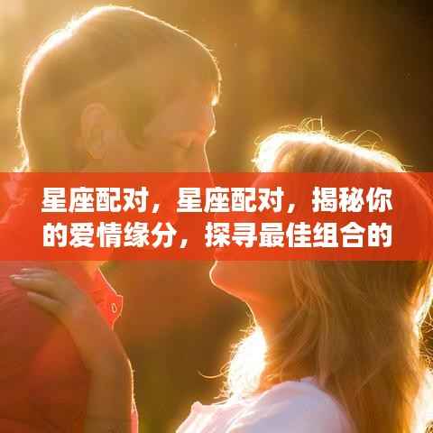 星座配对揭秘,探寻最佳爱情组合的秘密