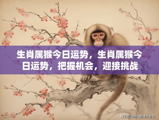 今日生肖属猴运势详解,把握机遇,迎接挑战