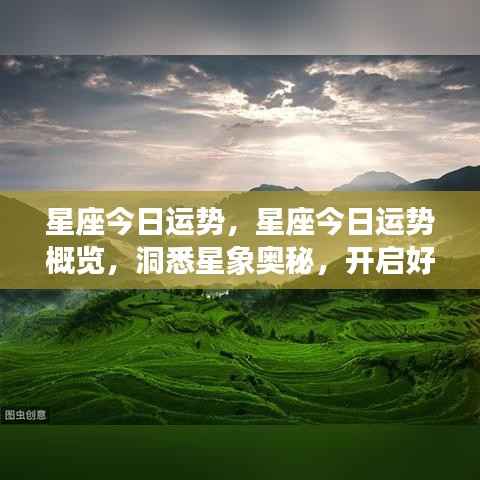 今日星座运势概览,洞悉星象奥秘,开启幸运之门