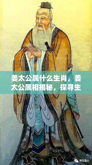 姜太公生肖揭秘,探寻神秘力量背后的生肖运势之秘