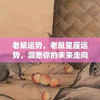 老鼠运势揭秘,洞悉未来走向的星座运势分析