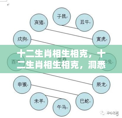揭秘十二生肖相生相克奥秘,洞悉命运轮盘转动之道