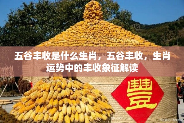 五谷丰收与生肖运势,解读丰收的生肖象征