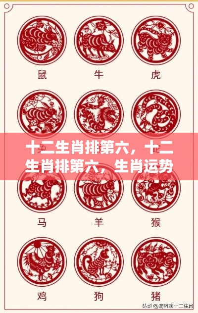 十二生肖第六位运势深度解析
