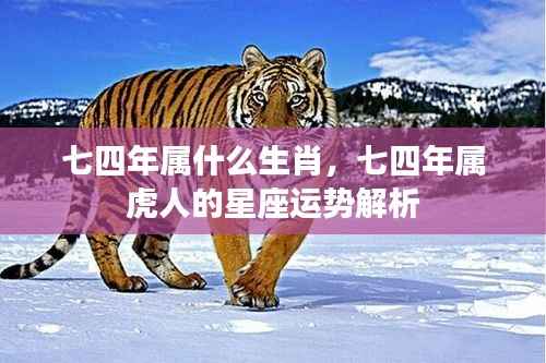七四年属虎人的星座运势深度解析与生肖特点揭秘