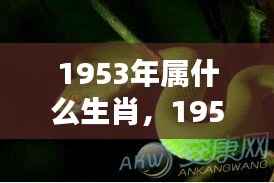1953年属蛇人的运势概览及生肖属性揭秘