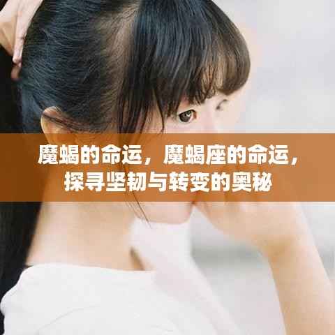 魔蝎座的命运之谜,探寻坚韧与转变的奥秘之旅