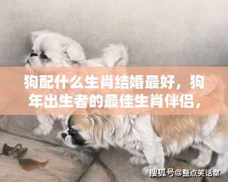 揭秘生肖婚配奥秘,狗年出生者的最佳生肖伴侣搭配指南