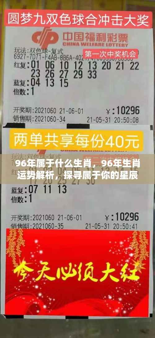 揭秘生肖运势,探寻属于你的星辰轨迹,解析96年属鼠人的生肖运势