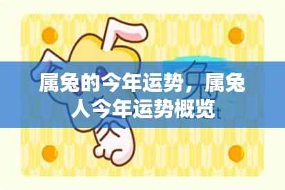 属兔人今年运势概览,全面解析属兔者的运势走向