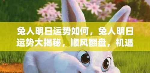 兔人明日运势揭秘,机遇与挑战并存,顺风翻盘的可能性分析