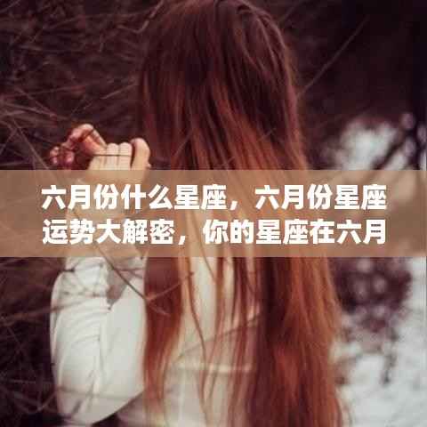 揭秘六月份星座运势,星座特性与六月表现的深度解析