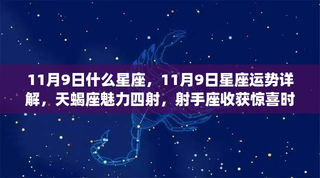 11月9日星座运势揭秘,天蝎魅力四溢,射手收获惊喜时刻