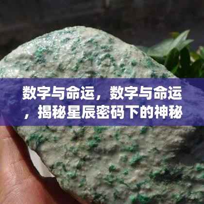 揭秘数字与命运的神秘联系,星辰密码下的秘密探秘