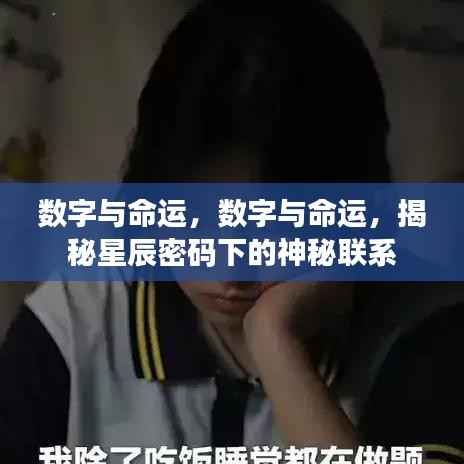 揭秘数字与命运的神秘联系,星辰密码下的秘密探秘