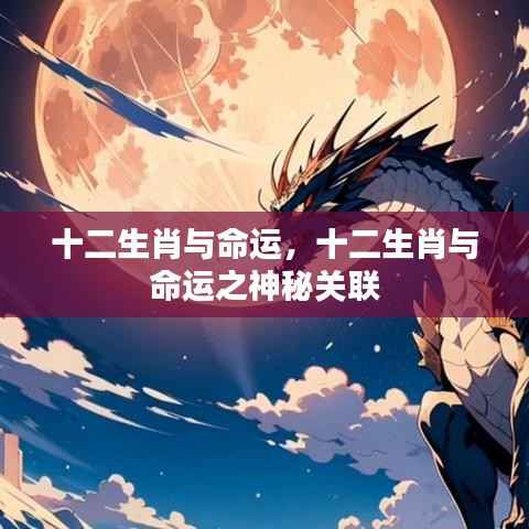 十二生肖与命运之神秘关联探索