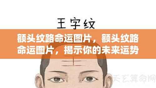 额头纹路命运图解,揭示未来运势走向的奥秘