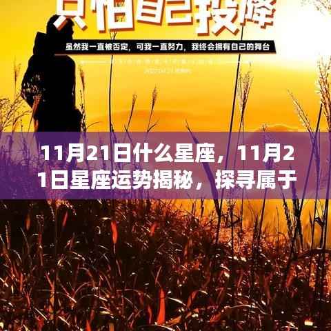 揭秘11月21日星座运势与星辰轨迹,探寻属于你的星座命运