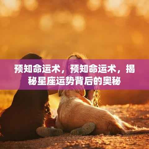 物以希为贵 第3页