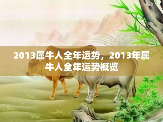 2013年属牛人全年运势概览