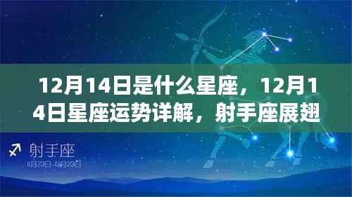 12月14日星座运势详解,射手座展翅高飞的日子