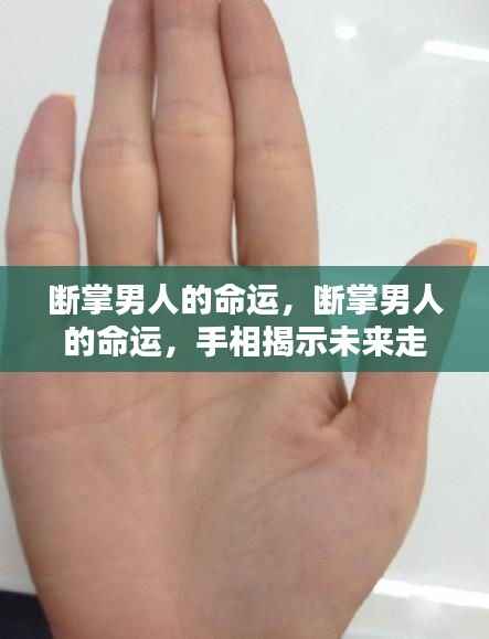 断掌男人的命运,手相揭示未来走向之谜