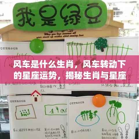 风车转动下的生肖星座运势揭秘,探寻生肖与星座的神秘纽带