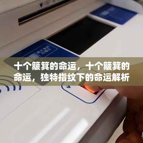 独特指纹下的命运之谜,十个簸箕的命运解析