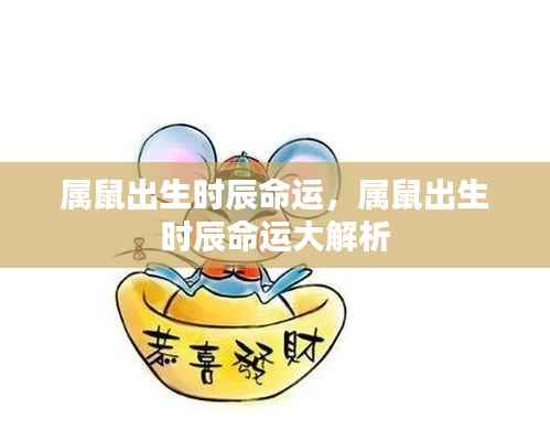 属鼠出生时辰命运详解与分析