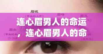 连心眉男人的命运,眉型与人生轨迹的深刻联系探索