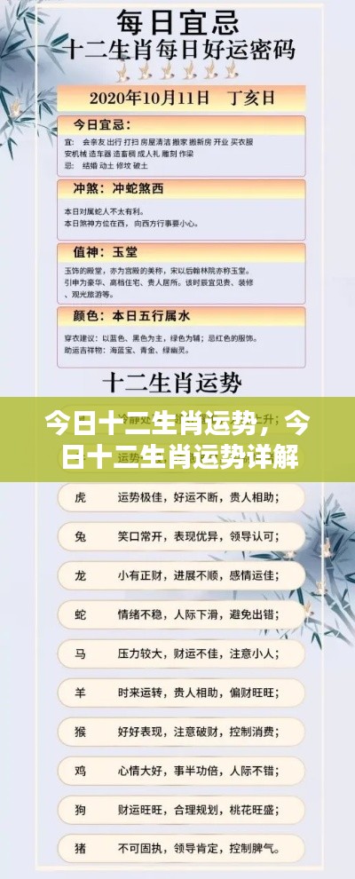 今日十二生肖运势详解,全面解析十二生肖运势特点与运势变化